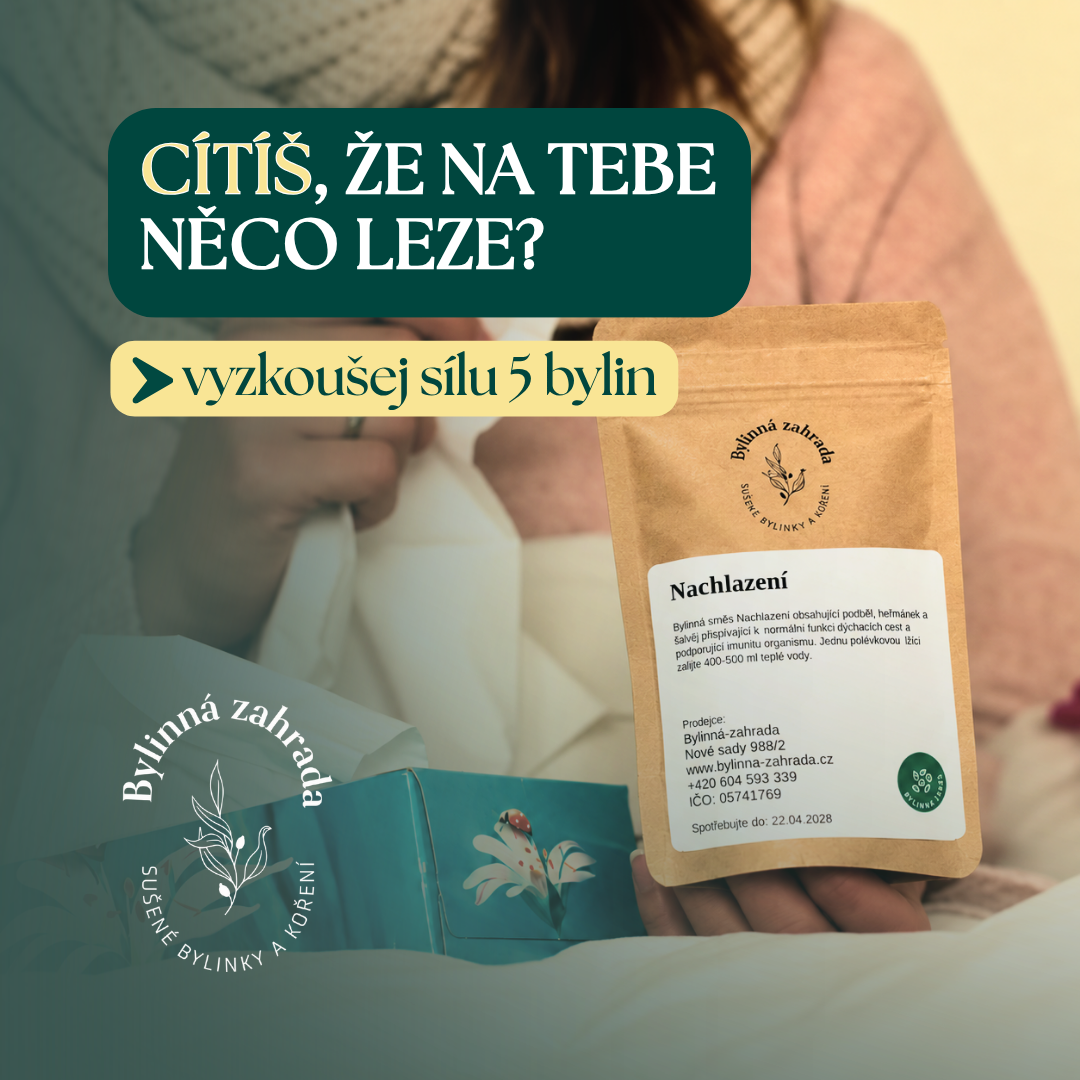 Bylinná směs Nachlazení – lifestyle fotografie se sáčkem